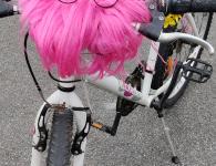 Déjantés du Guidon