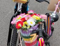 Déjantés du Guidon